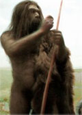 Neanderthaler