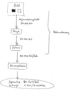 Skizze Wahrnehmung