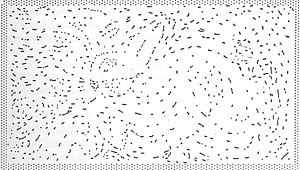 Grafik Wahrnehmung