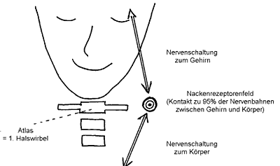 Atlastherapie Zeichnung